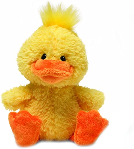 duckling